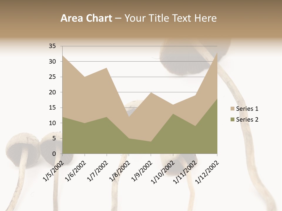 Fir Fungi Ritual PowerPoint Template