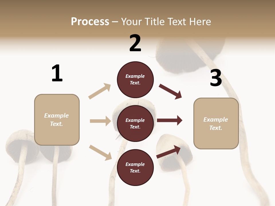 Fir Fungi Ritual PowerPoint Template