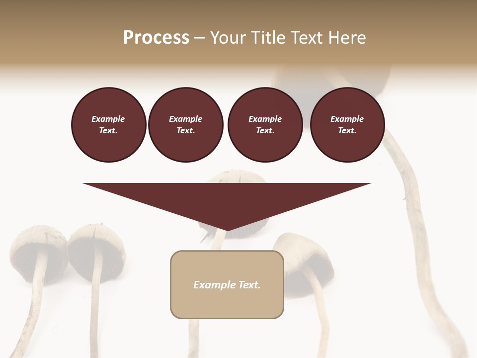 Fir Fungi Ritual PowerPoint Template