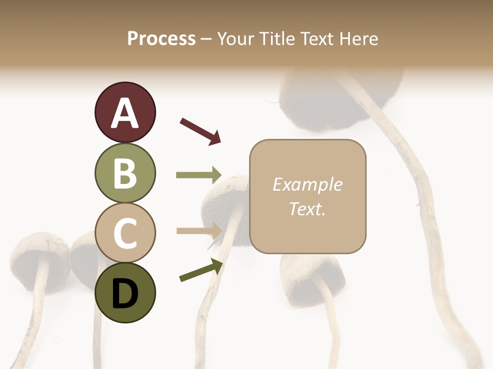 Fir Fungi Ritual PowerPoint Template