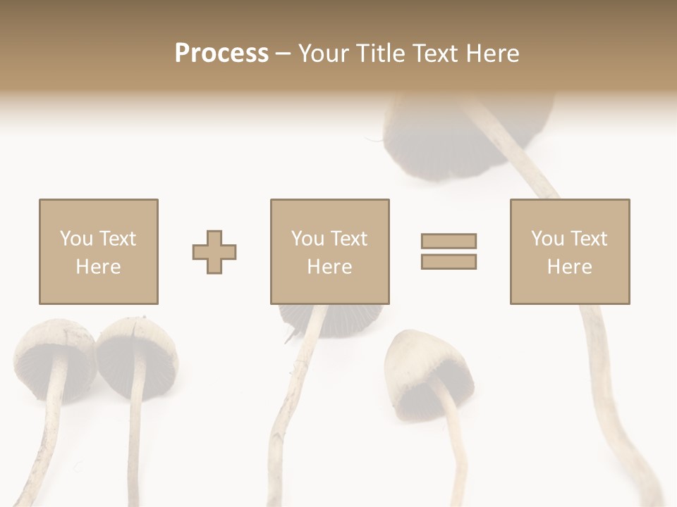 Fir Fungi Ritual PowerPoint Template