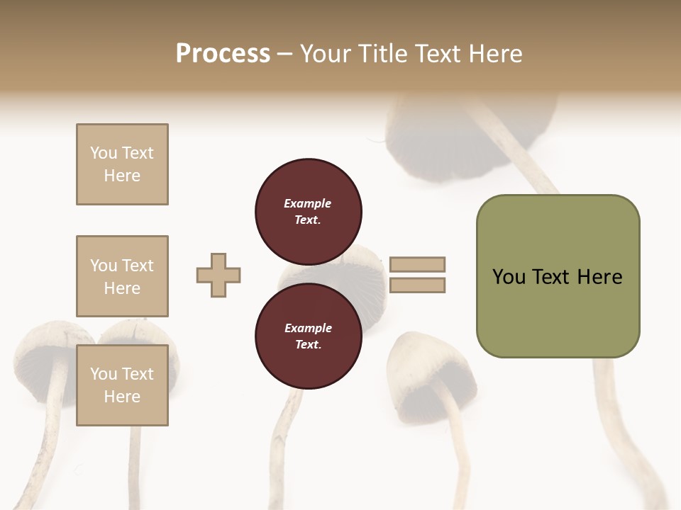 Fir Fungi Ritual PowerPoint Template