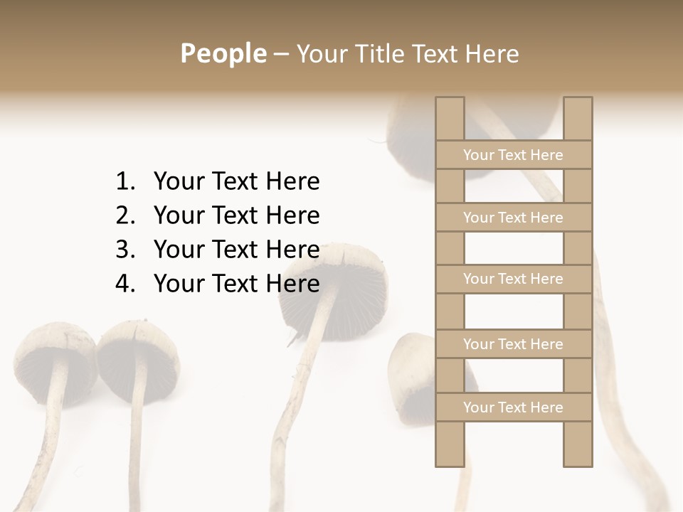 Fir Fungi Ritual PowerPoint Template