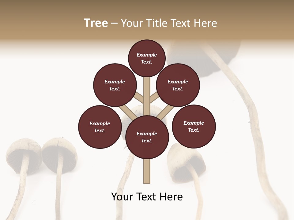 Fir Fungi Ritual PowerPoint Template