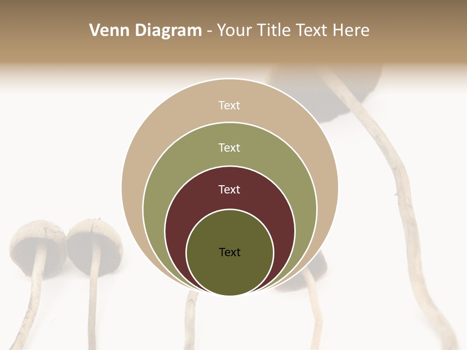 Fir Fungi Ritual PowerPoint Template