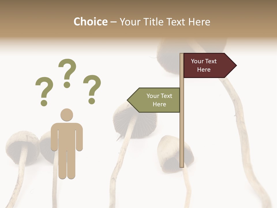 Fir Fungi Ritual PowerPoint Template