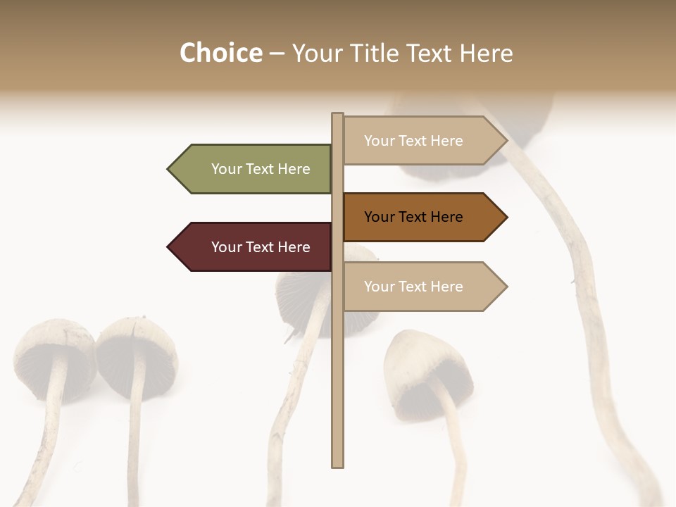 Fir Fungi Ritual PowerPoint Template