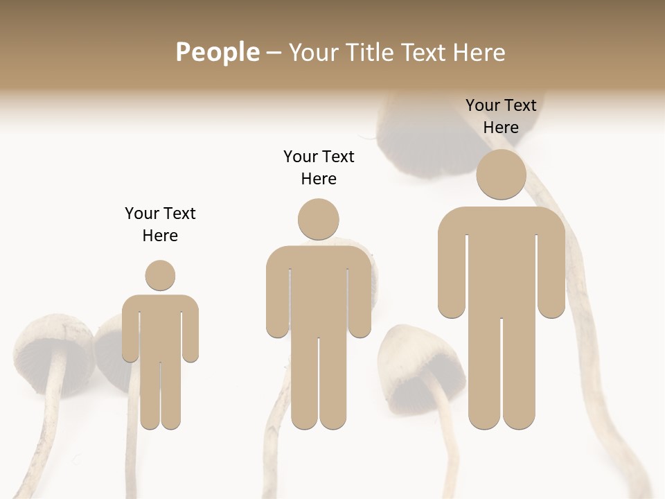 Fir Fungi Ritual PowerPoint Template