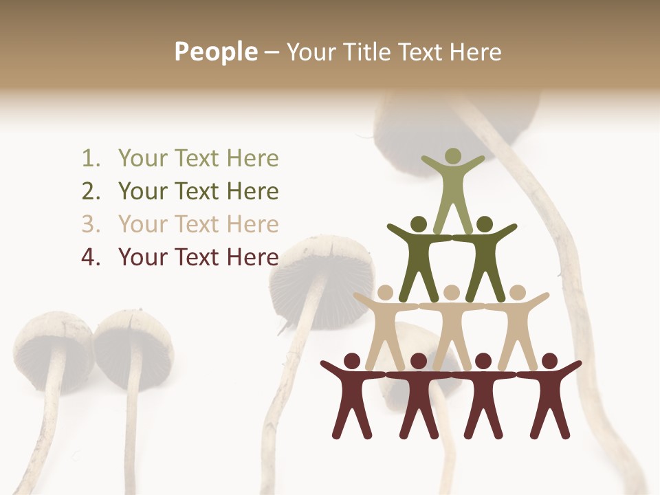 Fir Fungi Ritual PowerPoint Template