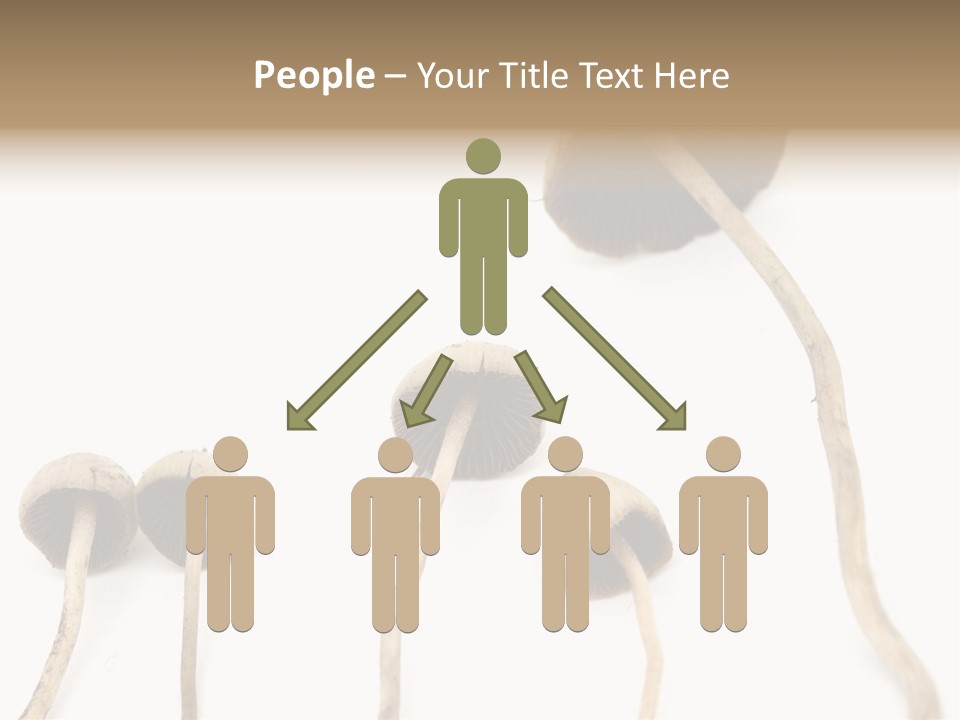 Fir Fungi Ritual PowerPoint Template