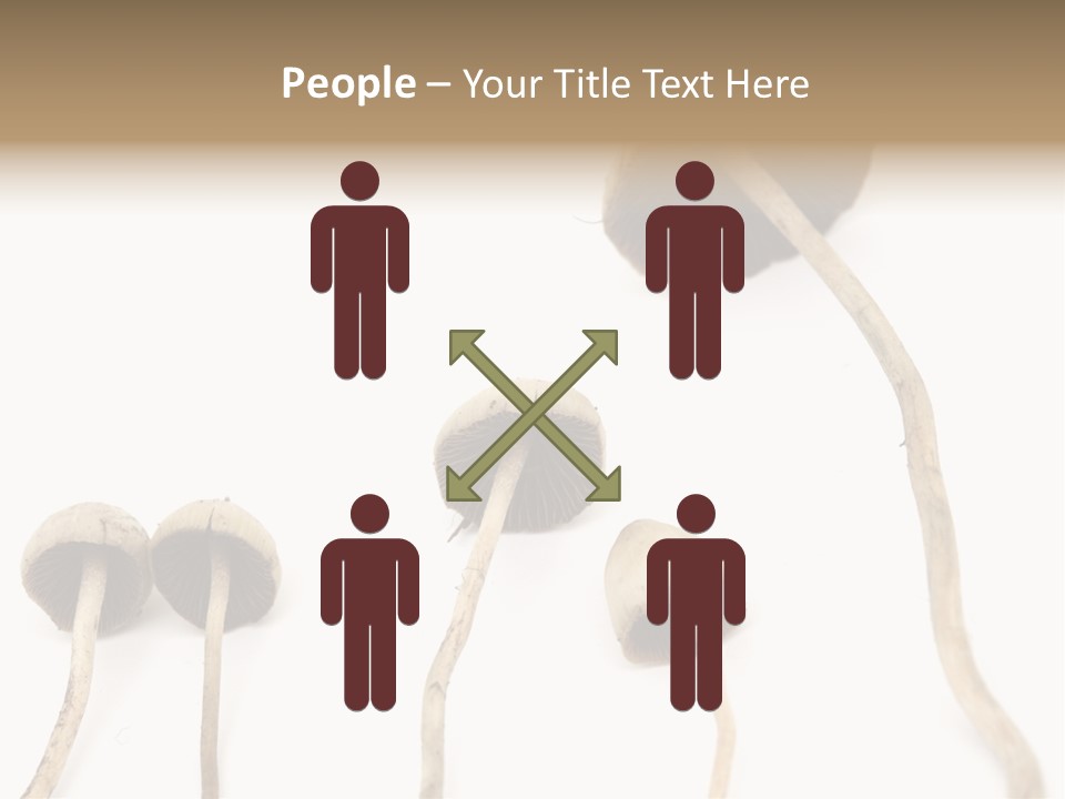 Fir Fungi Ritual PowerPoint Template