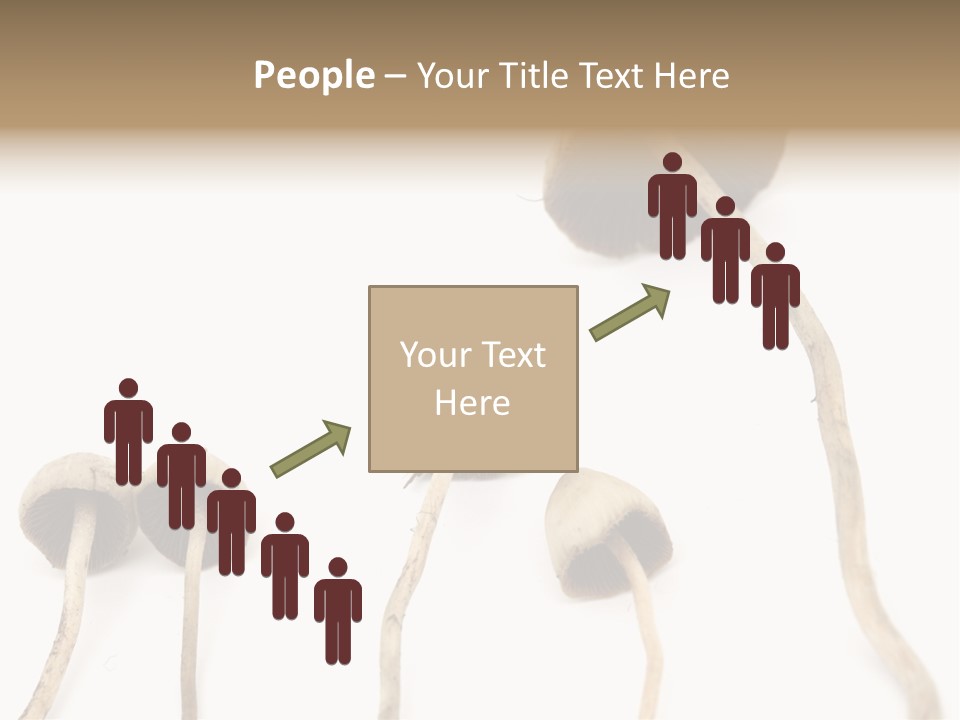 Fir Fungi Ritual PowerPoint Template