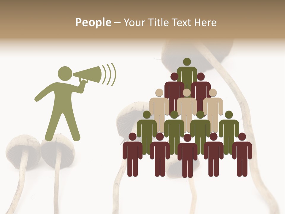 Fir Fungi Ritual PowerPoint Template