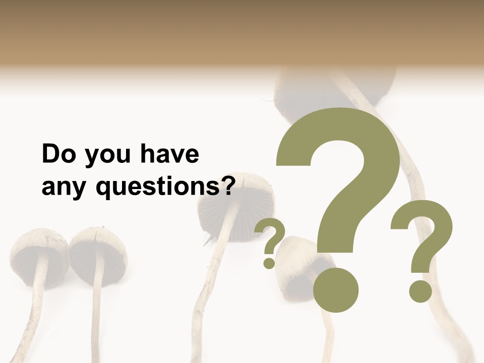 Fir Fungi Ritual PowerPoint Template