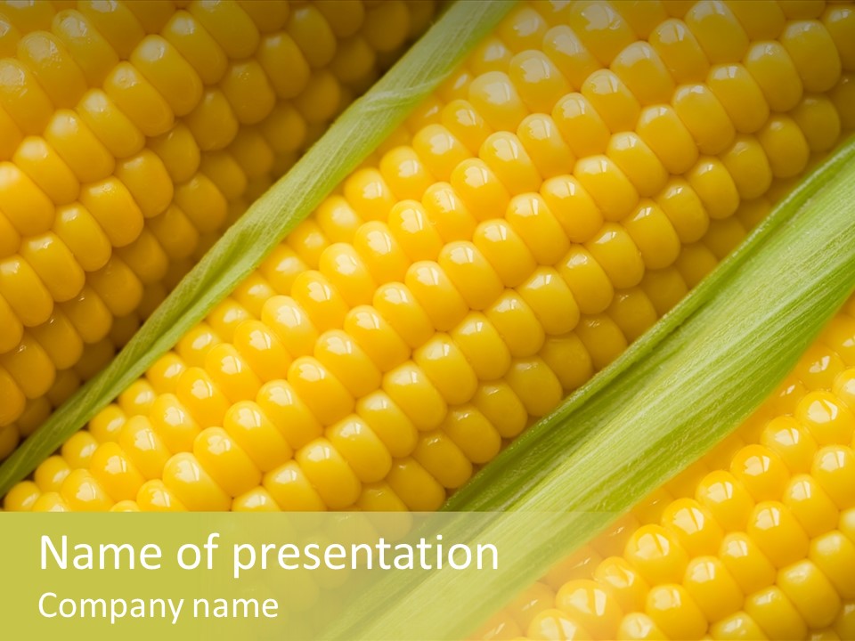 Stem Eat Kernel PowerPoint Template