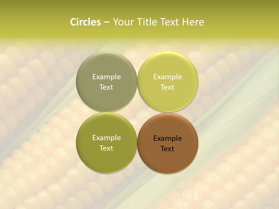 Stem Eat Kernel PowerPoint Template