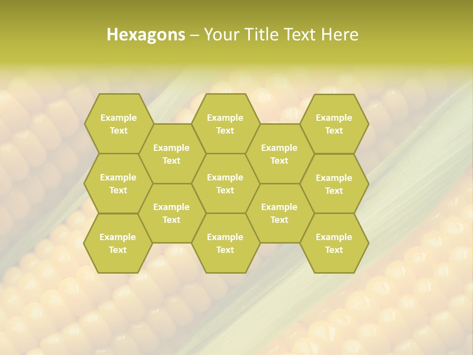 Stem Eat Kernel PowerPoint Template