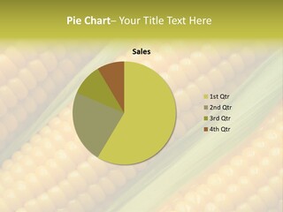 Stem Eat Kernel PowerPoint Template