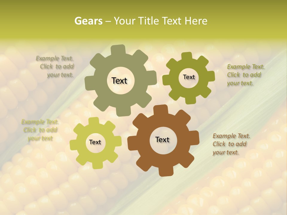 Stem Eat Kernel PowerPoint Template