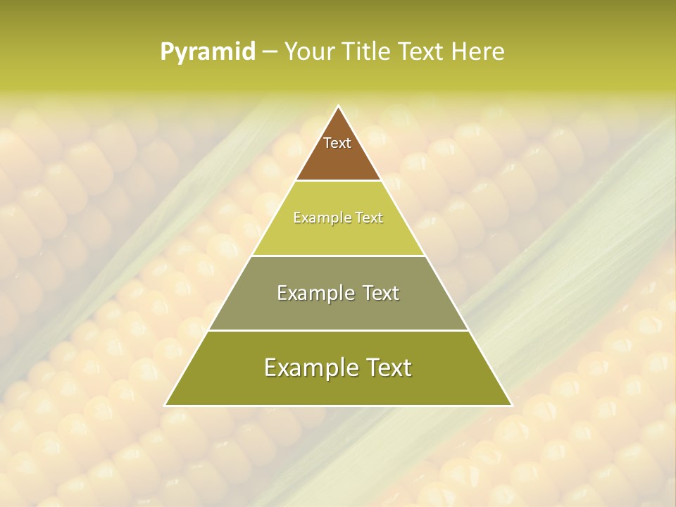 Stem Eat Kernel PowerPoint Template