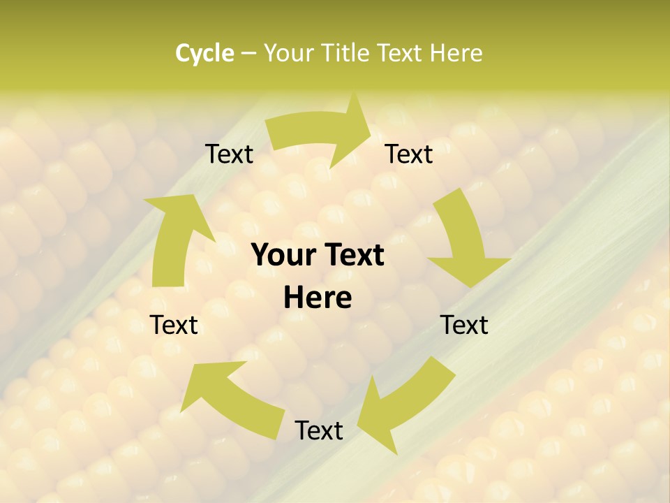Stem Eat Kernel PowerPoint Template