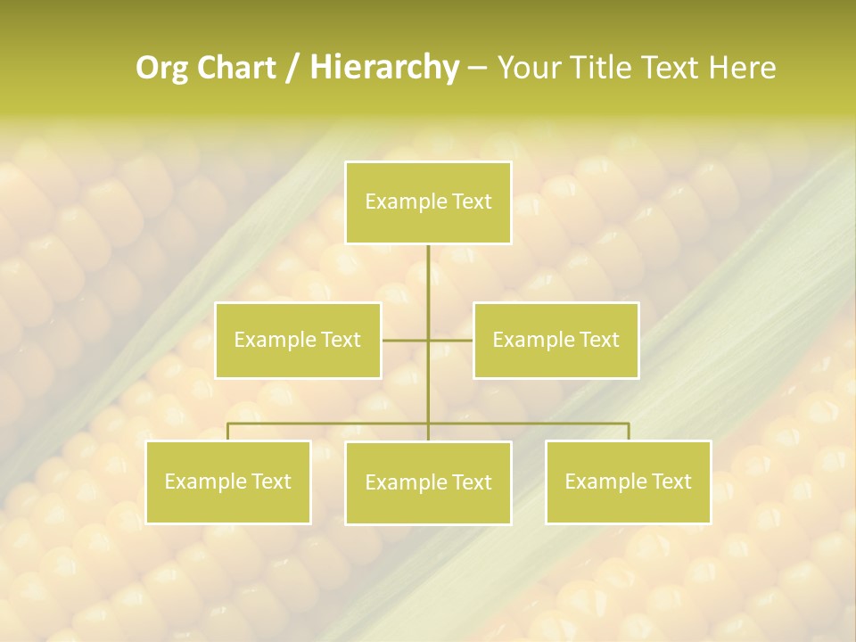 Stem Eat Kernel PowerPoint Template