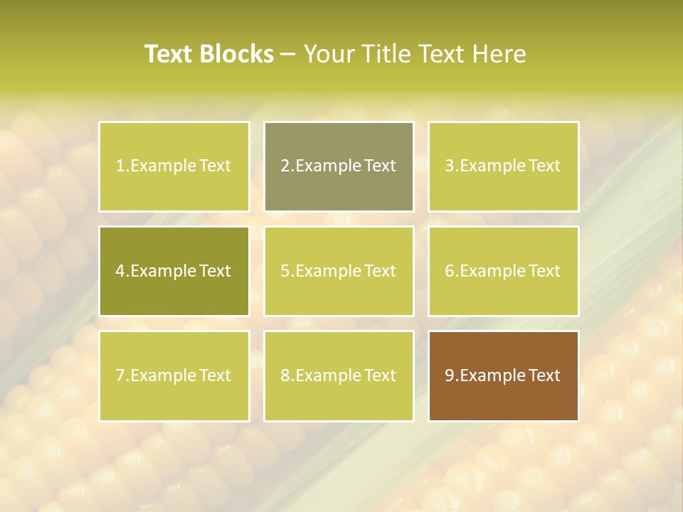 Stem Eat Kernel PowerPoint Template