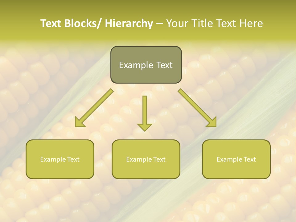 Stem Eat Kernel PowerPoint Template