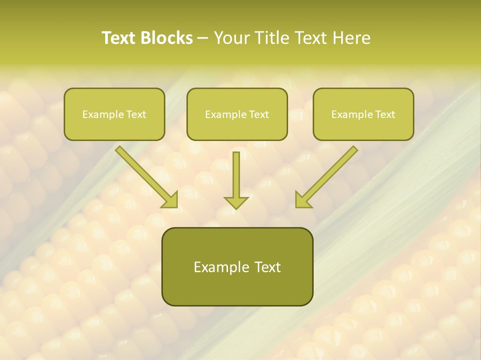Stem Eat Kernel PowerPoint Template