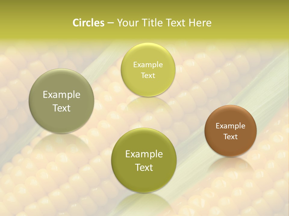 Stem Eat Kernel PowerPoint Template