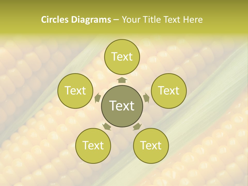 Stem Eat Kernel PowerPoint Template