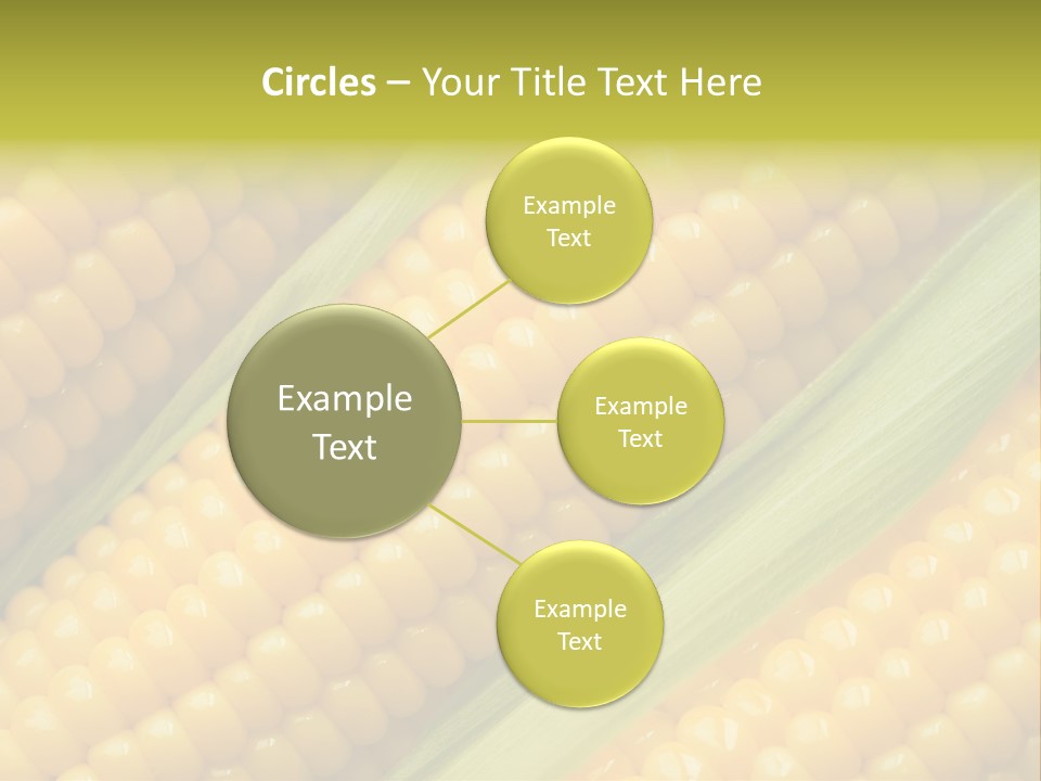 Stem Eat Kernel PowerPoint Template