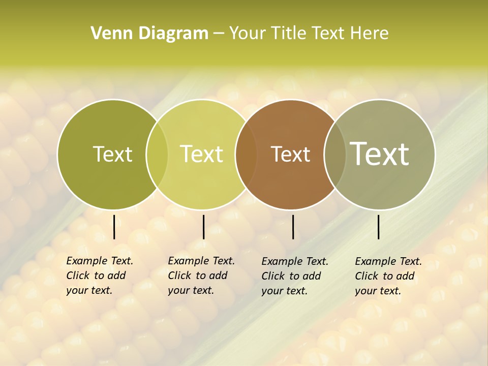 Stem Eat Kernel PowerPoint Template