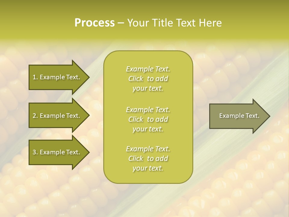 Stem Eat Kernel PowerPoint Template