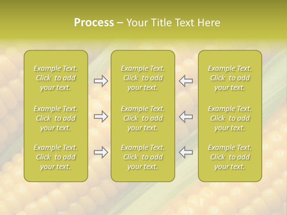 Stem Eat Kernel PowerPoint Template