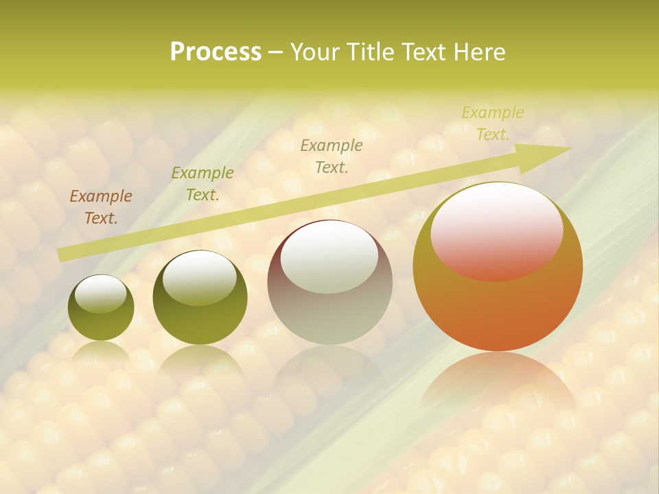 Stem Eat Kernel PowerPoint Template