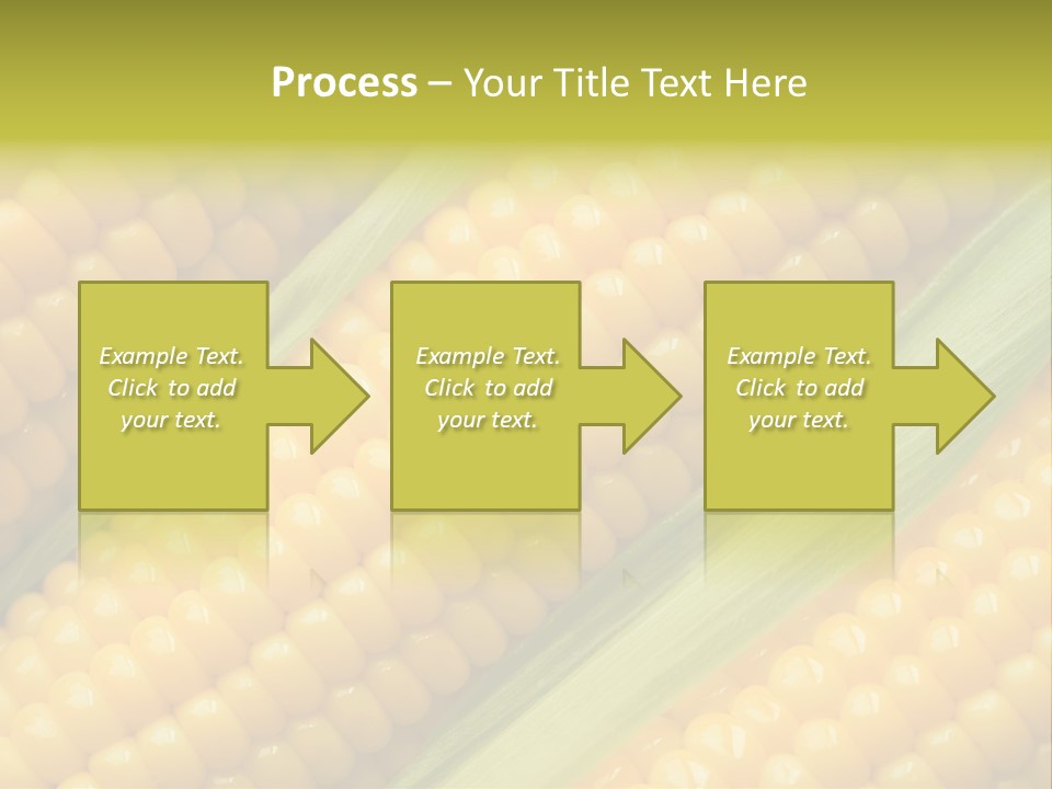 Stem Eat Kernel PowerPoint Template