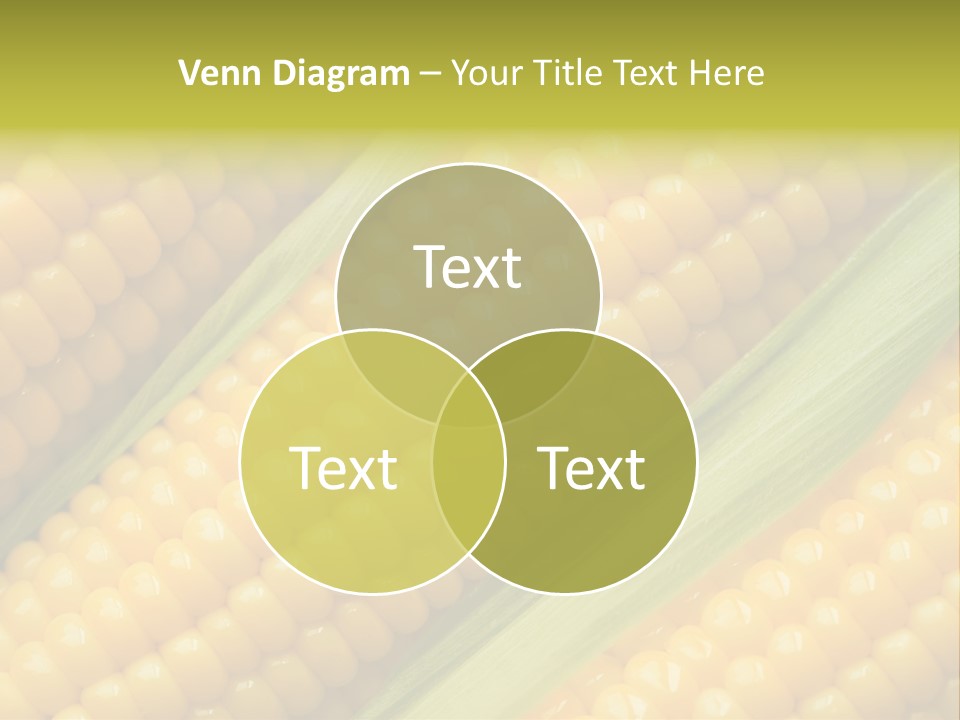 Stem Eat Kernel PowerPoint Template