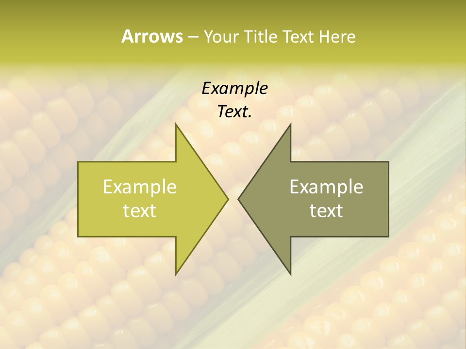 Stem Eat Kernel PowerPoint Template