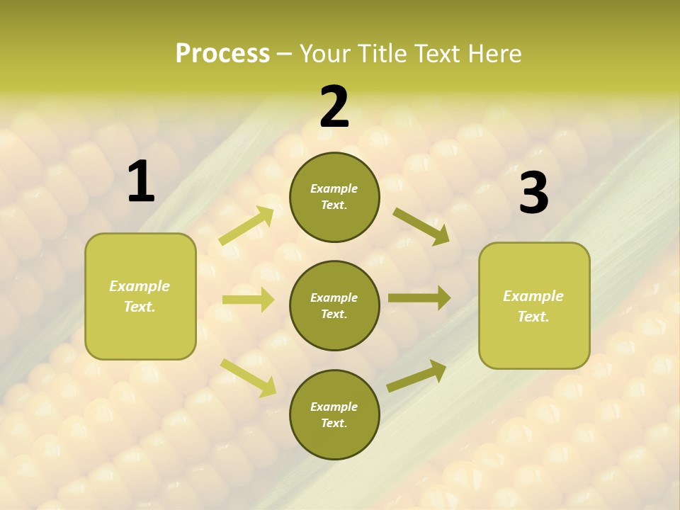 Stem Eat Kernel PowerPoint Template