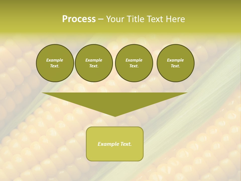 Stem Eat Kernel PowerPoint Template