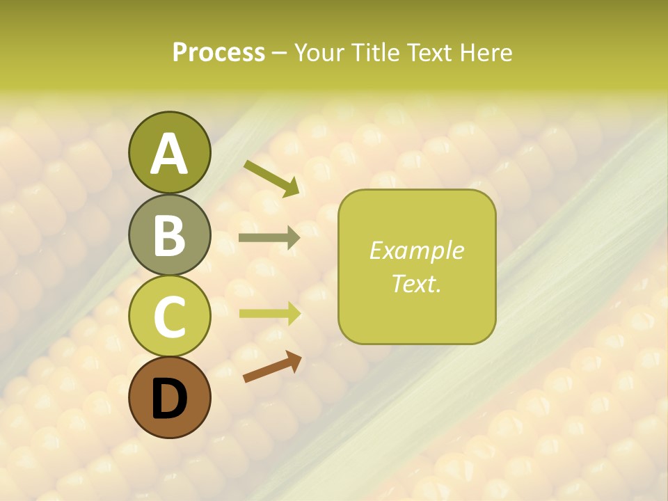 Stem Eat Kernel PowerPoint Template