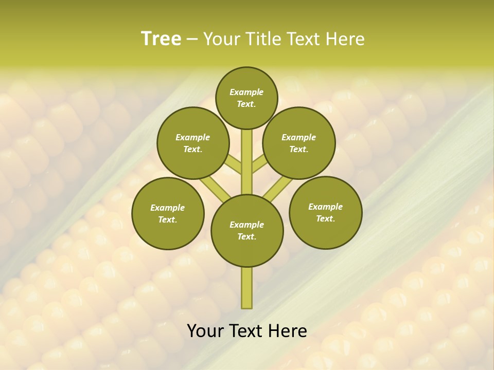 Stem Eat Kernel PowerPoint Template