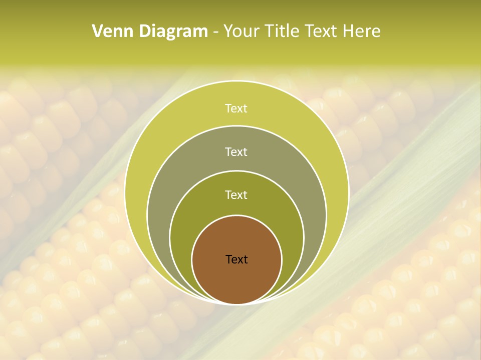 Stem Eat Kernel PowerPoint Template