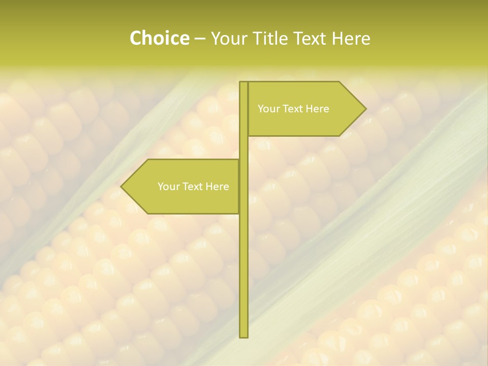 Stem Eat Kernel PowerPoint Template