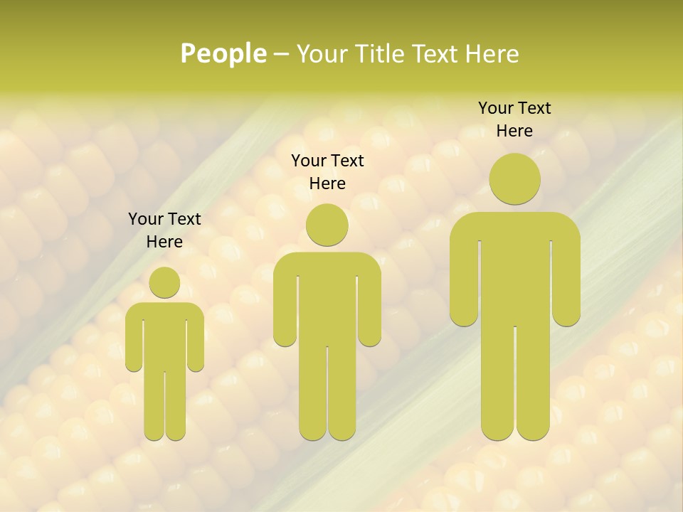 Stem Eat Kernel PowerPoint Template