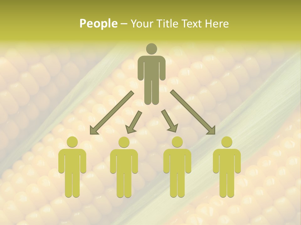 Stem Eat Kernel PowerPoint Template