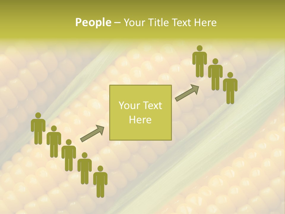 Stem Eat Kernel PowerPoint Template