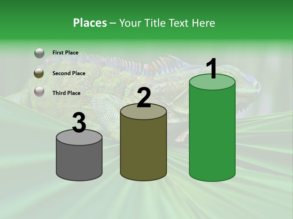 Iguana Green Wildlife PowerPoint Template