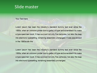 Iguana Green Wildlife PowerPoint Template